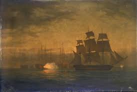 Image result for Brown 2009 Fleet