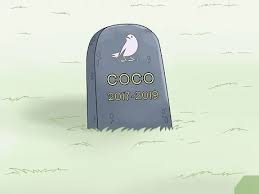 Pet sympathy messages for loss of pet. How To Bury A Dead Bird Wikihow