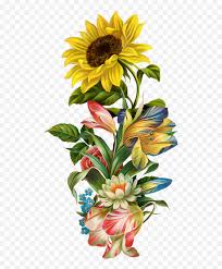 Over 2997 free borders png images are found on vippng. Victorian Flowers Bunt Sunflower Art Clipart Clipart Sunflower Png Sunflower Transparent Background Free Transparent Png Images Pngaaa Com
