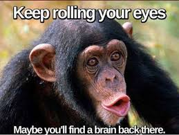 Maybe you would like to learn more about one of these? 55 Funny Monkey Ideas Monkey Funny Animals Monkeys Funny