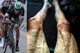 Quickly and before i knew it. Here S The Science Behind Why Tour De France Rider S Legs Are So Veiny Cycling Weekly