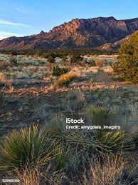 Image result for tbn:ekRZeqiUkU8b5M::www.hormiga.org/fondosescritorio/wallpapers/Paisajes-y-naturaleza/fotos/Paisajes-22.jpg