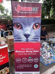 Tapi tahukah anda bahwa mereka juga memiliki kebutuhan pakan khusus? Kini Makanan Kucing Juga Mendapatkan Sertifikasi Halal Oleh Mui Merdeka Com