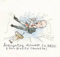 Image result for Bidens schimperi