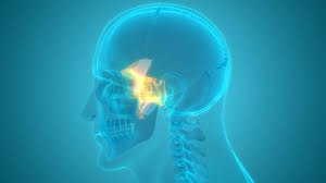 The labeled sphenoid bone views below depict various substructures. Sphenoid Bone Anatomy Function And Treatment
