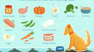It is important to always check canned pumpkin before buying it for your dog. 15 Human Foods Dogs Can Eat And 6 They Shouldn T