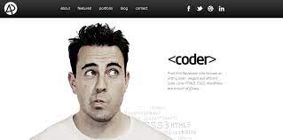 Front end developer / wordpress expert. 9 Sample Portfolio Website For Developers
