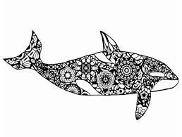 Here you have a free collection of printable orca coloring pages.enjoy them! Pin On Drawingboardweekly