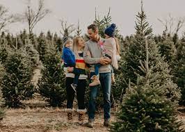 Christmas Tree Shopping How To Pick The Perfect Christmas Tree For Your Budget