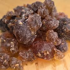 Image result for Commiphora kua