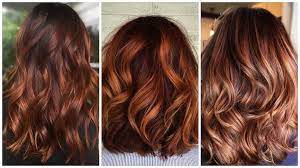 Gigi Hadid Proves That Auburn Is The Perfect Hair Colour Revamp To Book In For When Salons Reopen Chestnut Hair Color Hair Highlights And Lowlights Auburn Hair With Highlights