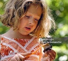 2.978 La Shafer Stock Photos, High-Res Pictures, and Images