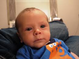 Alex Leibowitz Email & Phone Number