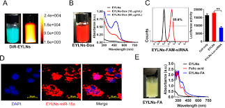 Nanovector Assembled from Natural Egg Yolk Lipids for Tumor-Targeted  Delivery of Therapeutics | ACS Applied Materials & Interfaces