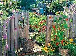 Bauerngarten Bauerngarten Garden Design Plans Willkommen In 2020 Cottage Garden Plants Creative Gardening
