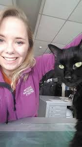 It is with great sadness that I announce the passing of Marty the Cat. For  many years he has provided summit staff with companionship and love. Due to  an unforeseen illness he