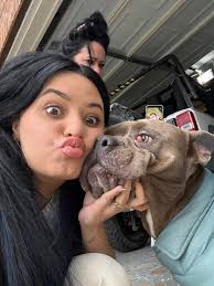 Please people it is winter. Help the poor animals if you see a dog