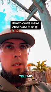 How Chocolate Milk Is Made Brown Cow Funny