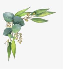 Find high quality border vector watercolor, all watercolor images can be downloaded for free for personal use only. Watercolor Leaves Png Images Transparent Watercolor Leaves Image Download Pngitem