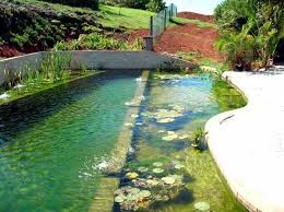 Diy By Swimming Pond With A Natural Self Cleaning Process Pool Landscaping Swimming Pond Backyard Pool Landscaping