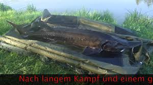 Für die pfarre verantwortlich ist pfarrer helmut scheer. Fischerparadies Niederkreuzstetten Youtube