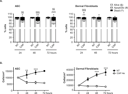 Human body skin section, anatomy, 3d section of human skin. Short Exposure To Cold Atmospheric Plasma Induces Senescence In Human Skin Fibroblasts And Adipose Mesenchymal Stromal Cells Scientific Reports