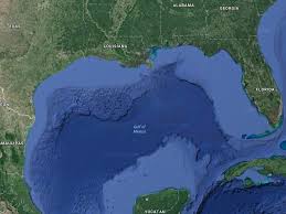 A fire erupted at an underwater pipeline off the gulf of mexico is reportedly under control after footage showed vehicles attempting to put out the flames. Gulf Of Mexico Is Now The World S Largest Dead Zone