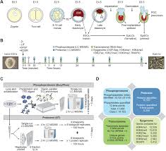 Take a sneak peak at the movies coming out this week (8/12) 2021 emmy nominations break records in diversity; Multi Omic Profiling Reveals Dynamics Of The Phased Progression Of Pluripotency Biorxiv