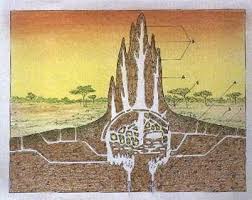 It's important to note that you can't sense any intensive smell of these products, so we are located at: Biomimetic Architecture Green Building In Zimbabwe Modeled After Termite Mounds Biomimicry Architecture Green Building Architecture Natural Architecture