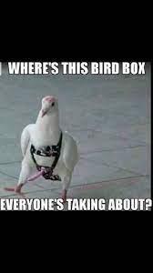 Funny & dirty jokes compilation from tiktok! Funny Memes Auf Twitter Memes Jokes Funnymemes Humor Dirtymemes Cartoons Comedy Darkhumor