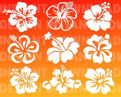 Download 9 Hawaii Flower Bundle Svg Hibiscus Decal Hibiscus Stencil Floral Svg Tropical Beach Summer Svg Hibiscus Big Valentine Stencils