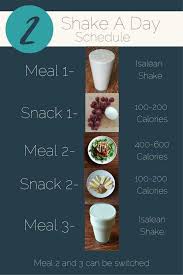 Isagenix Shake Day Schedule Isagenix Shakes No Calorie Snacks Detox Diet Drinks