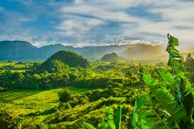 Jun 09, 2021 · world environment day (wed) is celebrated each year on june 5. Cuba S Economic Isolation Protected Its Environment Scientific American