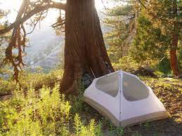 Past visitors to the campground report the. Dispersed Camping In The U S National Forests