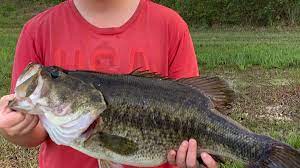 Recently shared catches and fishing spots. Georgia Fishing Report March 22 2019 Georgia Wildlife Blog