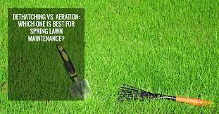 Confers some lawn with some vital nutrients. Lawn Care Spokane Dethatching Vs Aeration Infographic