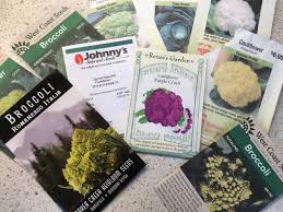 Grow kale indoors as a houseplant. Grow Cole Crops Broccoli And Caulflower To Suit Every Garden Donna Balzer