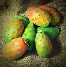 Kaktusfeigen Kalorien Und Nahrwerte Der Opuntia Ficus Indica Kaktusfeige Feigen Nahrwert