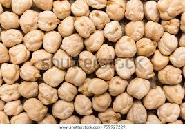 Image result for Cicer arietinum
