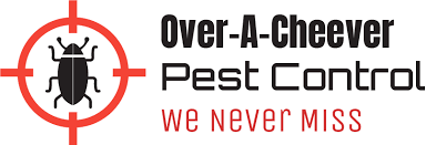 The termite is a quarterly and its the tubes in the ground with wood and poison type thing for all. Over A Cheever Pest Control Serving Port Charlotte North Port Englewood Venice Sarasota Areas