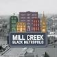 Echoes of Mill Creek: Reflecting on a Lost Neighborhood