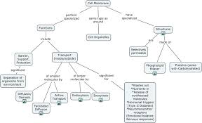 Ab Transport Concept Map Cell Membrane Cell Transport Cell Membrane Transport