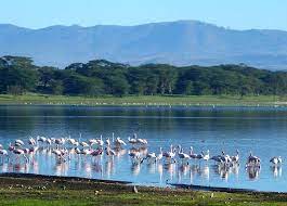 Hi/low, realfeel®, precip, radar, & everything you need to be ready for the day, commute, and weekend! The Complex Of Ecosystem Services And The Economics Of Lake Naivasha Region By Mohsen Gul Medium