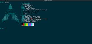 Lightweight terminal emulator 2021 para acceder a la línea de comandos de linux de android shell. How To Install And Customize The Kitty Terminal Emulator On Linux