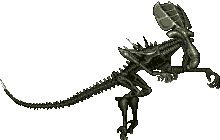 The best gifs are on giphy. Alien Vs Predator 1994 Arcade Game Xenopedia Fandom