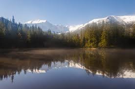 The forest is home to around 800 wisent (żubr in polish), which is a protected species of european bison. Winter Landscape Tatra Mountains In Poland Officemanager4u