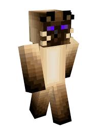 Grayson, better known online as purpled, is a popular youtuber who is friends with the dream team. Antfrost Smp Dream Team Wiki Fandom