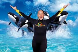 Resultado de imagen de imagenes de loro parque