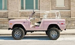 Image result for Pink 1966 Truck