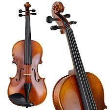 Alle aktuellen violinen für dich verfügbar. 5 Best Violin Brands For Advanced Students New Violinist